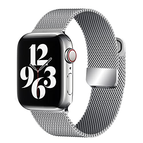 Milanese Bracelet Apple Watch - Silver